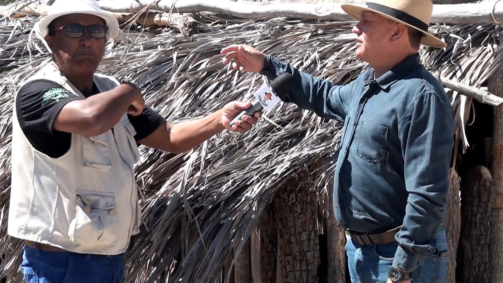 Batatinha No Oeste da Bahia "Barra"